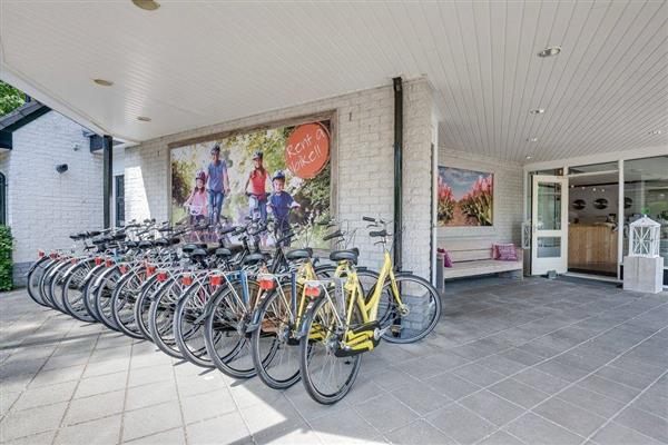 Grote foto fiets vakantie op de veluwe vakantie nederland midden