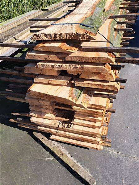 Grote foto 2 beuken stammen gezaagd 35mm dik doe het zelf en verbouw hout en planken