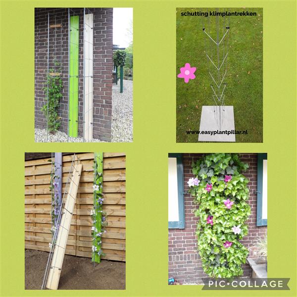 Grote foto planten tegen de schutting met handige draadrekken tuin en terras hekken en schuttingen