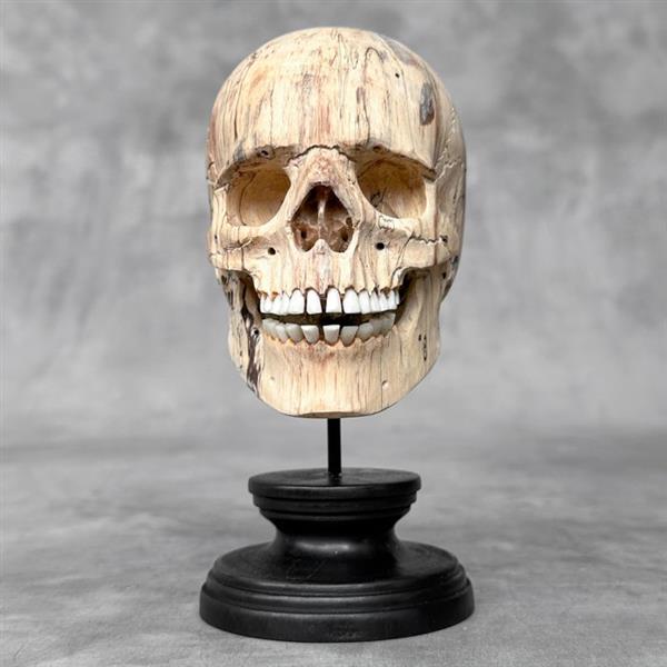 Grote foto snijwerk no reserve price hand carved wooden human skull with stand 17 cm tamarinde hout 20 antiek en kunst curiosa en brocante