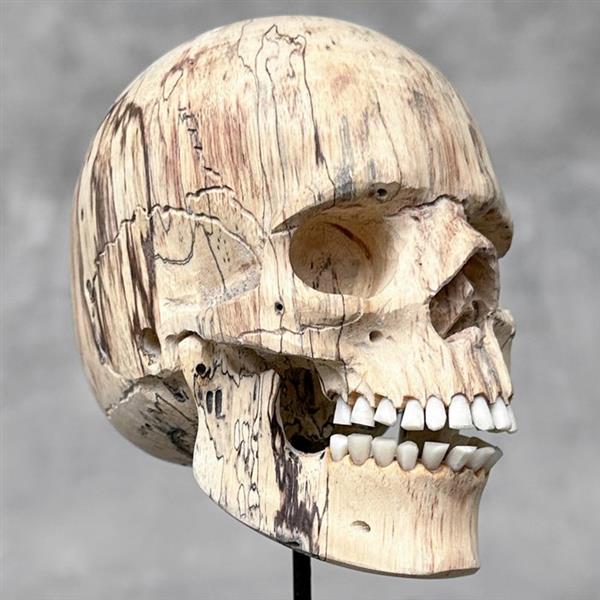 Grote foto snijwerk no reserve price hand carved wooden human skull with stand 17 cm tamarinde hout 20 antiek en kunst curiosa en brocante