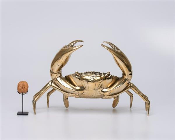 Grote foto sculptuur no reserve price bronze polished crab sculpture 24 cm brons antiek en kunst curiosa en brocante