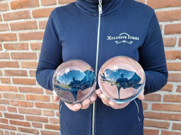 Grote foto presse papier 2 glass spheres with flower glas antiek en kunst curiosa en brocante