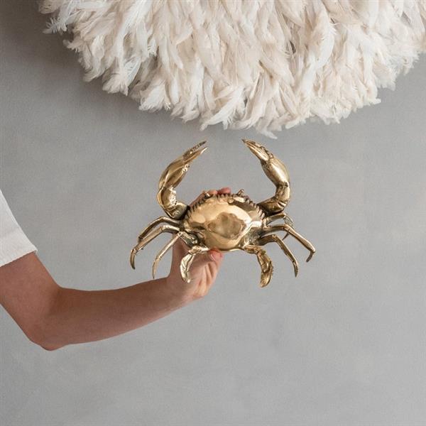 Grote foto sculptuur no reserve price polished bronze crab sculpture sooka interior 14 cm brons antiek en kunst curiosa en brocante