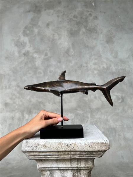 Grote foto sculptuur no reserve price bronze hammerhead shark on a stand sphyrnidae 23 cm brons antiek en kunst curiosa en brocante