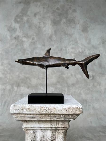 Grote foto sculptuur no reserve price bronze hammerhead shark on a stand sphyrnidae 23 cm brons antiek en kunst curiosa en brocante