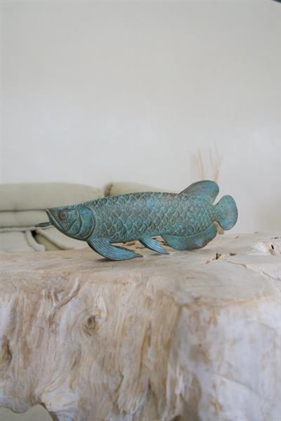 Grote foto sculptuur no reserve price sculpture arowana fish patinated bronze 13 cm brons antiek en kunst curiosa en brocante