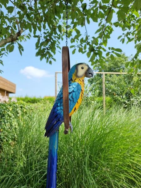 Grote foto beeldje a parrot on swing metaal antiek en kunst curiosa en brocante
