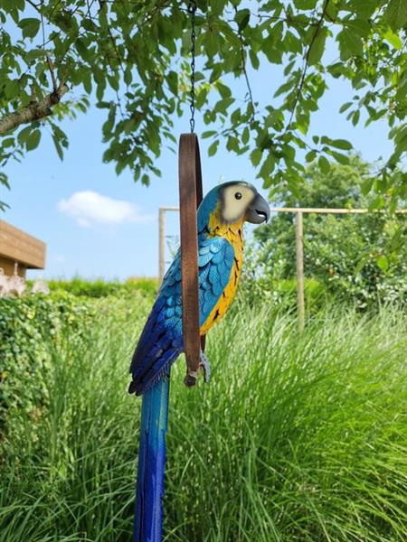 Grote foto beeldje a parrot on swing metaal antiek en kunst curiosa en brocante