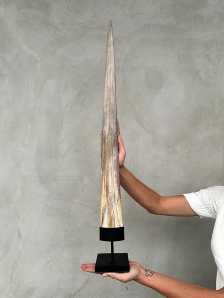 Grote foto geen reserveprijs een grote zwaardvisslagtand gemonteerd op een aangepast voetstuk rostrum op een antiek en kunst curiosa en brocante
