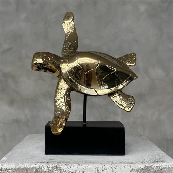 Grote foto sculptuur no reserve price statue of a bronze polished turtle on a stand 17 cm brons antiek en kunst curiosa en brocante