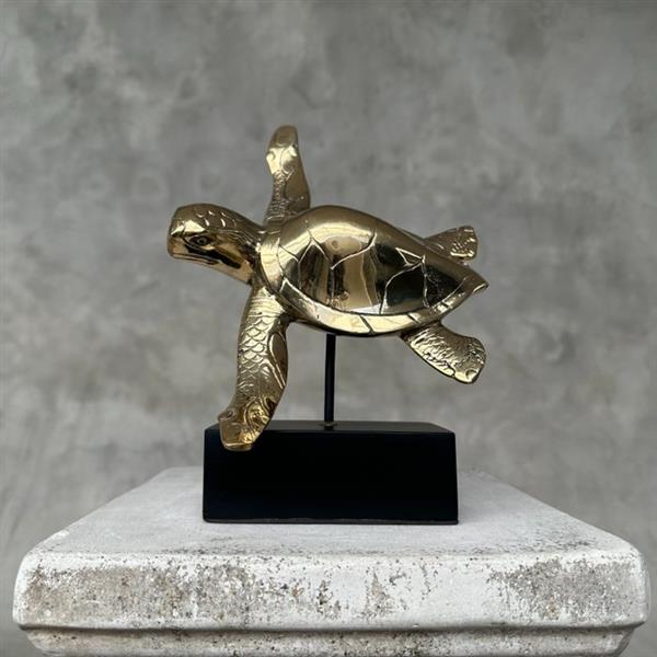 Grote foto sculptuur no reserve price statue of a bronze polished turtle on a stand 17 cm brons antiek en kunst curiosa en brocante