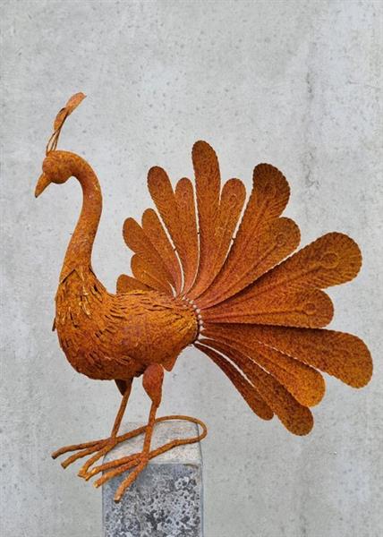 Grote foto beeldje rusty peacock ijzer gesmeed antiek en kunst curiosa en brocante