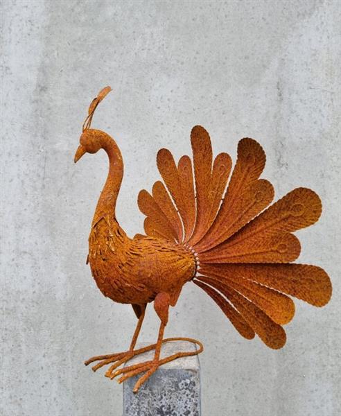 Grote foto beeldje rusty peacock ijzer gesmeed antiek en kunst curiosa en brocante