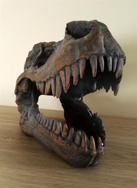 Grote foto beeldje t rex dinosaurus schedel hars polyester antiek en kunst curiosa en brocante