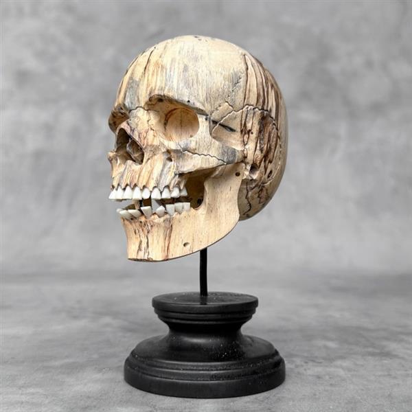 Grote foto snijwerk no reserve price stunning wooden human skull with a beautiful grain 16 cm tamarindu antiek en kunst curiosa en brocante