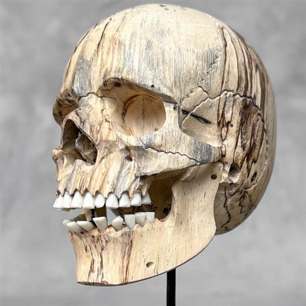 Grote foto snijwerk no reserve price stunning wooden human skull with a beautiful grain 16 cm tamarindu antiek en kunst curiosa en brocante