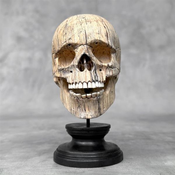Grote foto snijwerk no reserve price hand carved wooden human skull with stand 16 cm tamarinde hout 20 antiek en kunst curiosa en brocante