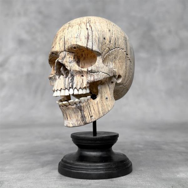 Grote foto snijwerk no reserve price hand carved wooden human skull with stand 16 cm tamarinde hout 20 antiek en kunst curiosa en brocante