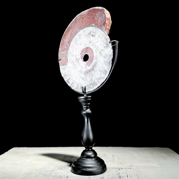 Grote foto geen reserveprijs mooie ammoniet op aangepaste standaard gefossiliseerd dier ammonoidea 21 c antiek en kunst curiosa en brocante