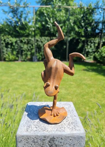 Grote foto beeldje a crazy frog ijzer gegoten gesmeed antiek en kunst curiosa en brocante