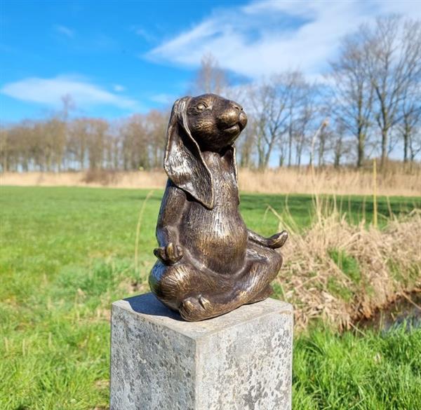 Grote foto beeldje a meditating zen hare brons antiek en kunst curiosa en brocante