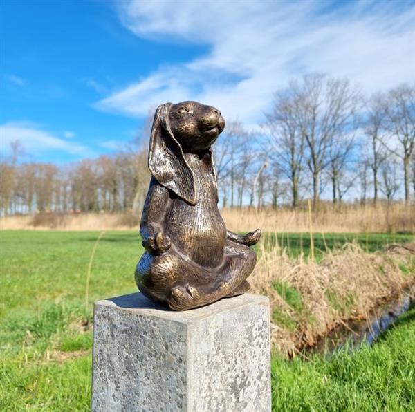 Grote foto beeldje a meditating zen hare brons antiek en kunst curiosa en brocante
