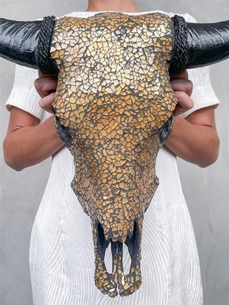Grote foto geen reserveprijs authentieke grote waterbuffelschedel met inleg van glasmoza ek schedel bubalu antiek en kunst curiosa en brocante