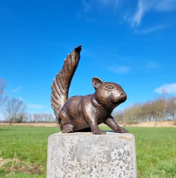 Grote foto beeldje a lifelike bronze squirrel brons antiek en kunst curiosa en brocante