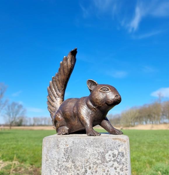 Grote foto beeldje a lifelike bronze squirrel brons antiek en kunst curiosa en brocante