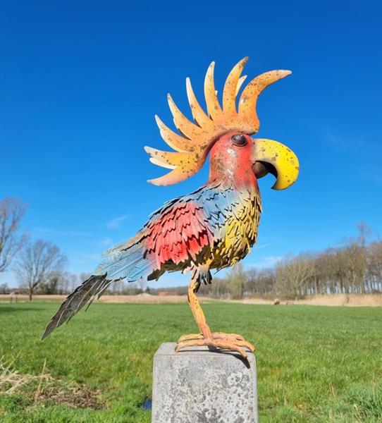 Grote foto beeldje xl cockatoo ijzer gegoten gesmeed antiek en kunst curiosa en brocante