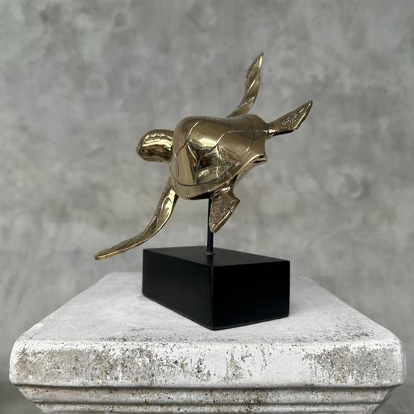 Grote foto sculptuur no reserve price turtle on a stand bronze polished 17 cm brons antiek en kunst curiosa en brocante
