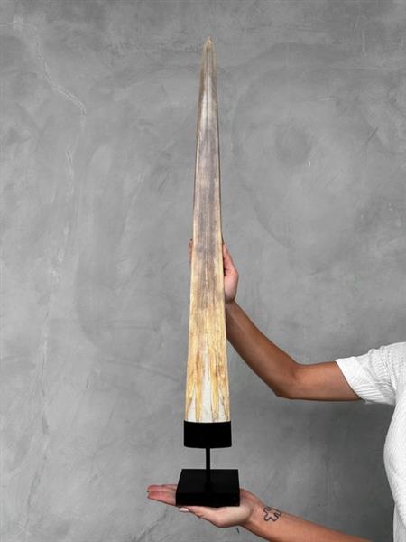 Grote foto geen reserveprijs grote zwaardvisslagtand gemonteerd op op maat gemaakte standaard rostrum op ee antiek en kunst curiosa en brocante
