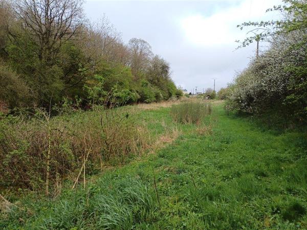 Grote foto 6600 bastogne rustig gelegen grond 22a 98ca. huizen en kamers grondkavels