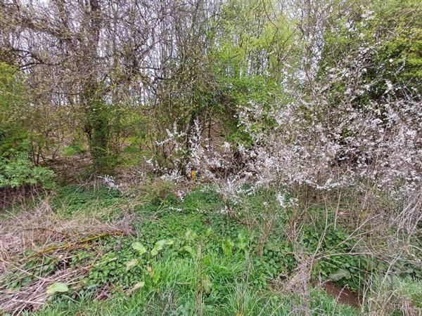 Grote foto 6600 bastogne rustig gelegen grond 22a 98ca. huizen en kamers grondkavels