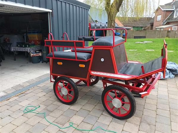 Grote foto koets voor nspan dieren en toebehoren rijtuigen en koetsen