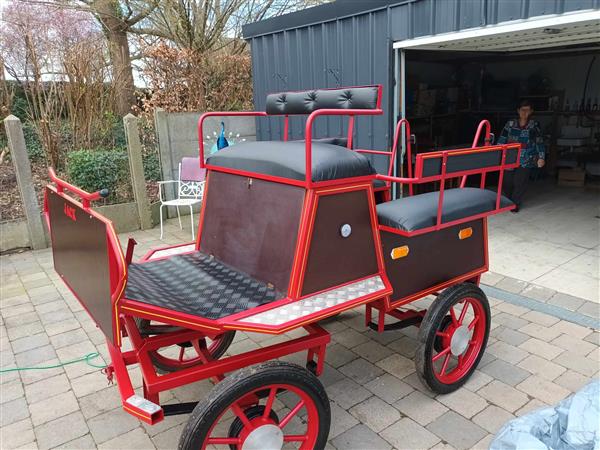 Grote foto koets voor nspan dieren en toebehoren rijtuigen en koetsen