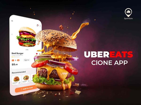 Grote foto start your own online food delivery business computers en software overige