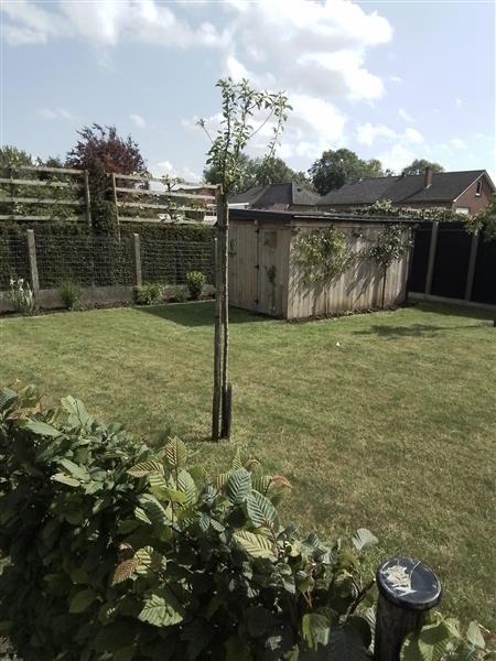Grote foto mooie tuin tuin en terras overige tuin en terras