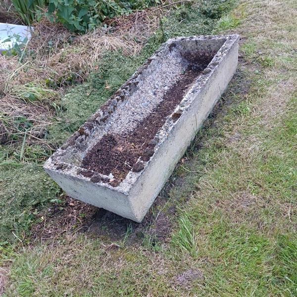 Grote foto 3 betonnen troggen tuin en terras bloembakken