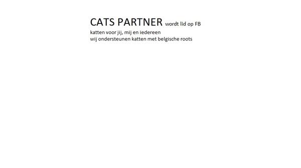 Grote foto catspartner dieren en toebehoren raskatten korthaar