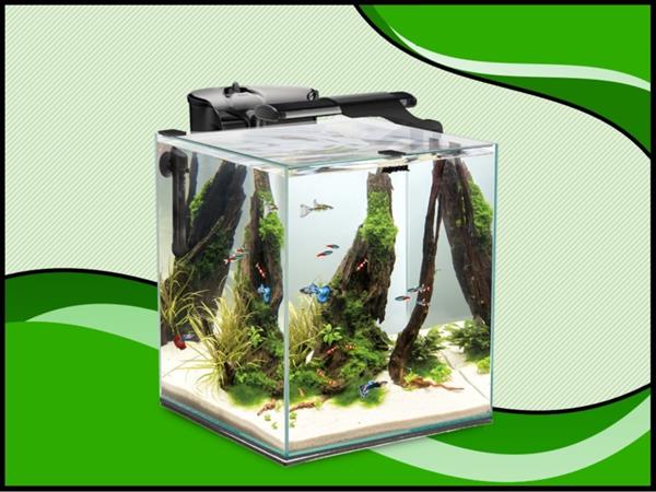 Grote foto aquael nano cube set duo 49 liter zwart aquarium dieren en toebehoren vissenkommen