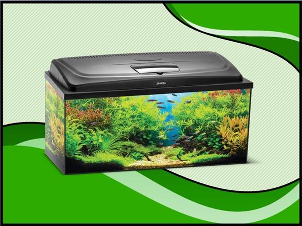Grote foto aqua4 home 100 recht aquarium set compleet dieren en toebehoren vissenkommen