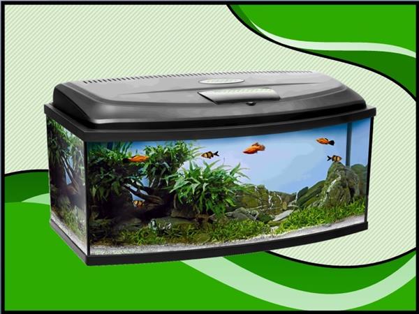 Grote foto aqua4 home 100 panorama aquarium set compleet dieren en toebehoren vissenkommen