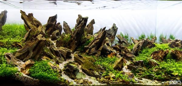 Grote foto dragon stone 8 15cm aquarium decoratie stenen dieren en toebehoren vissenkommen