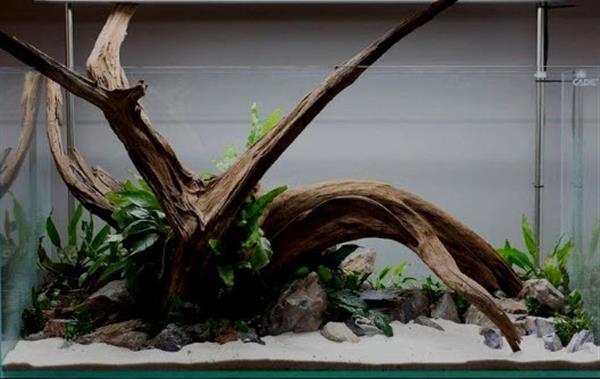Grote foto fine sinking wood 35 50cm aquarium decoratie mangrove hout dieren en toebehoren vissenkommen