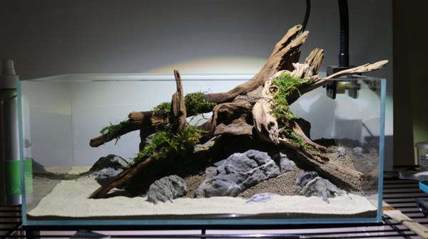 Grote foto fine sinking wood 35 50cm aquarium decoratie mangrove hout dieren en toebehoren vissenkommen