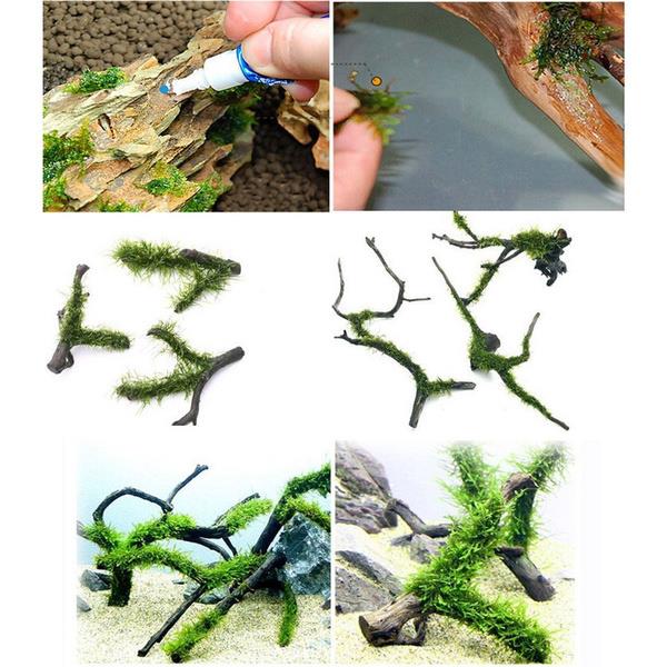 Grote foto osaka aquascape glue aquarium planten lijm 2 tubes dieren en toebehoren vissenkommen