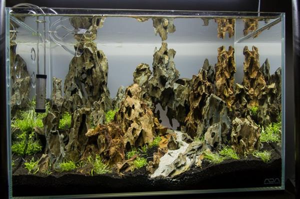Grote foto dragon stone 15 25cm aquarium decoratie stenen dieren en toebehoren vissenkommen