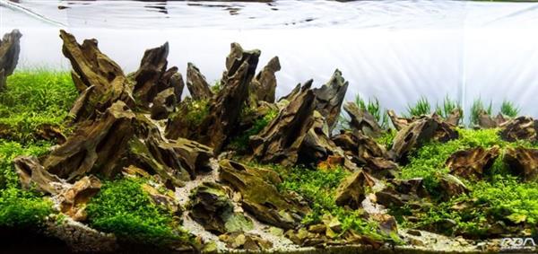 Grote foto dragon stone 15 25cm aquarium decoratie stenen dieren en toebehoren vissenkommen
